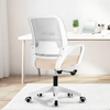 Ghế Văn Phòng Công Thái Học Neo Chair – Đẳng Cấp Thoáng Mát & Hỗ Trợ Cột Sống