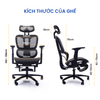 Ghế công thái học full lưới – thoáng khí, nâng đỡ tối ưu cho cột sống | GTH01BL | LMT Decor