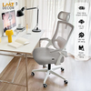 Ghế Xoay Văn Phòng Lưng Lưới DBS – Thiết Kế Công Thái Học Đẳng Cấp