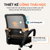 Ghế Văn Phòng Neo Chai Thiết Kế Công Thái Học, Lưng Lưới |GVP05BL| LMT Decor