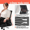 Ghế Xoay Công Thái Học LMT Decor – Chìa Khóa Cho Tư Thế Ngồi Chuẩn & Làm Việc Hiệu Quả